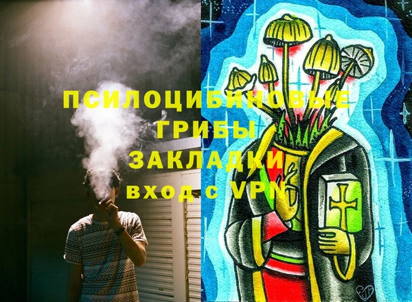 ECSTASY Костерёво