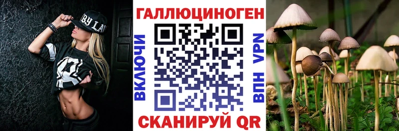 что такое   Кизляр  Галлюциногенные грибы прущие грибы 